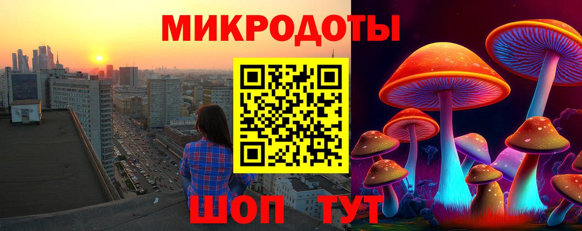 Новокуйбышевск  Псилоцибиновые грибы MAGIC MUSHROOMS  Галлюциногенные грибы GOLDEN TEACHER  Вход с VPN 